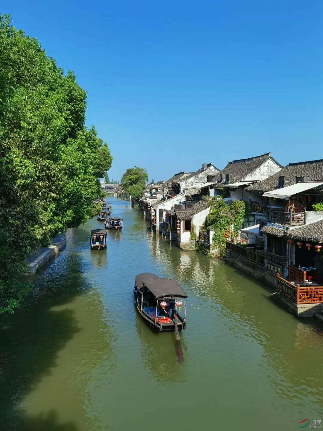 怀孕之后老公要离婚，请问应该怎么办？游戏画面